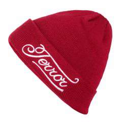 Шапка TRSNOW COACH 2016-2017)